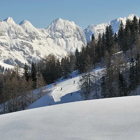 Fewo 9, Haus Zahmer Kaiser, App. 4 *